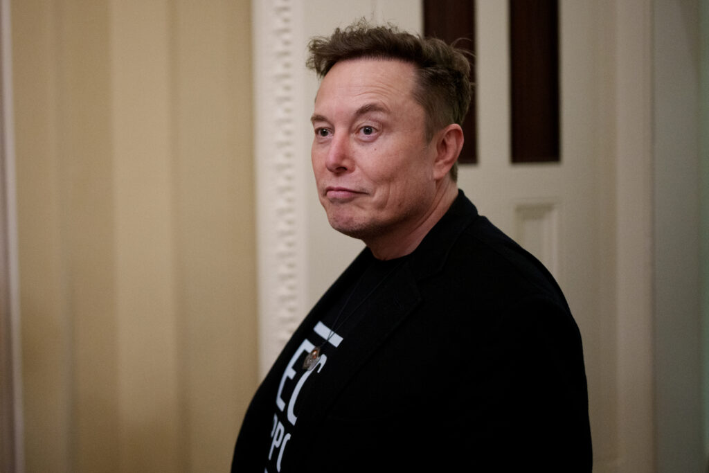 Elon Musk-Political Influence-Economic Analysis-Government Efficiency Department-Tesla-SpaceX-Social Justice