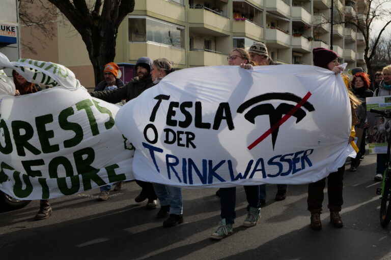 Tesla-Elon Musk-Global Protests-Tesla Sales-Tesla Stock-Anti-Tesla Campaign