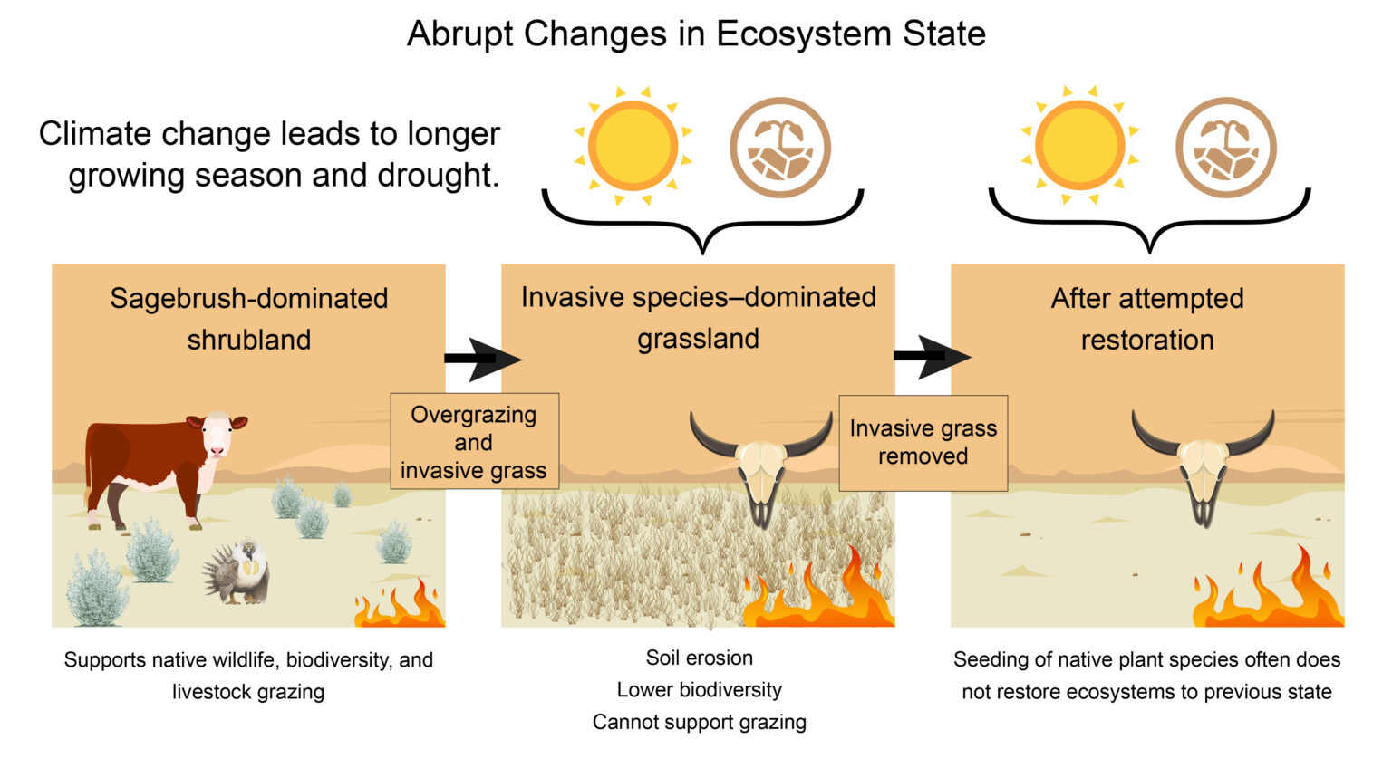 biodiversity-climate change-pollution-human impact-invasive species-global ecosystems