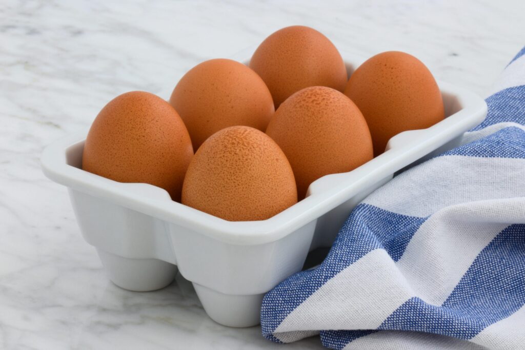 egg storage-bacteria prevention-salmonella-fresh eggs-refrigeration
