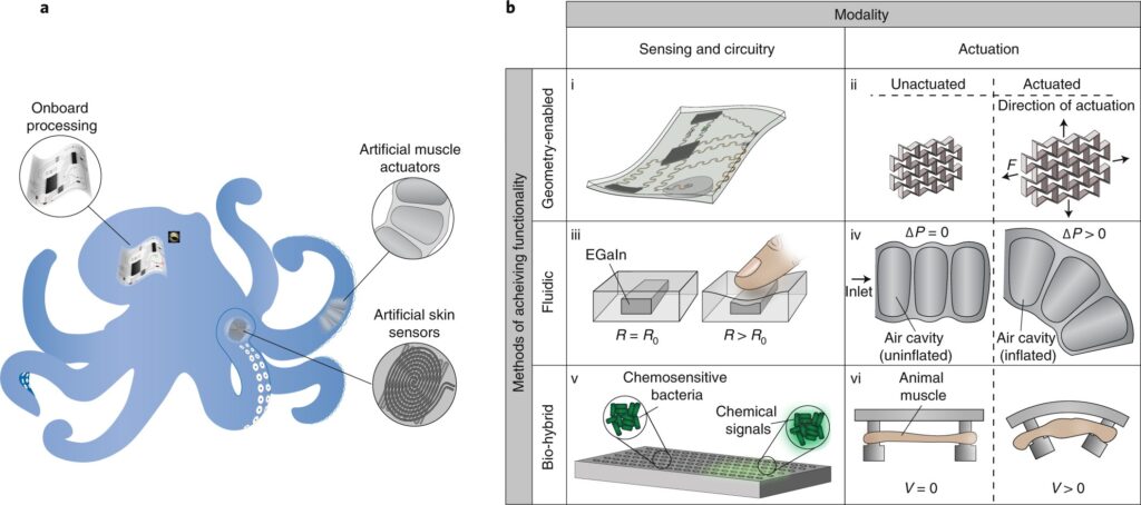 gel batteries-wearable technology-hydrogel battery-self-healing battery-soft robotics