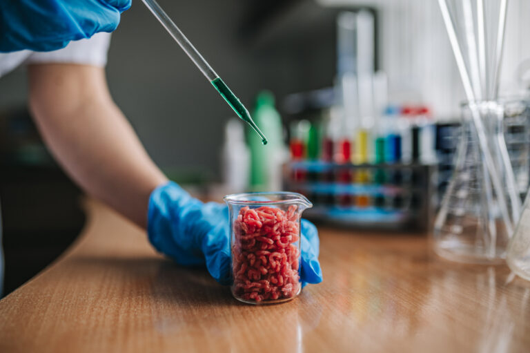 lab-grown meat-bio-reactor-sustainable food-food technology-biotechnology