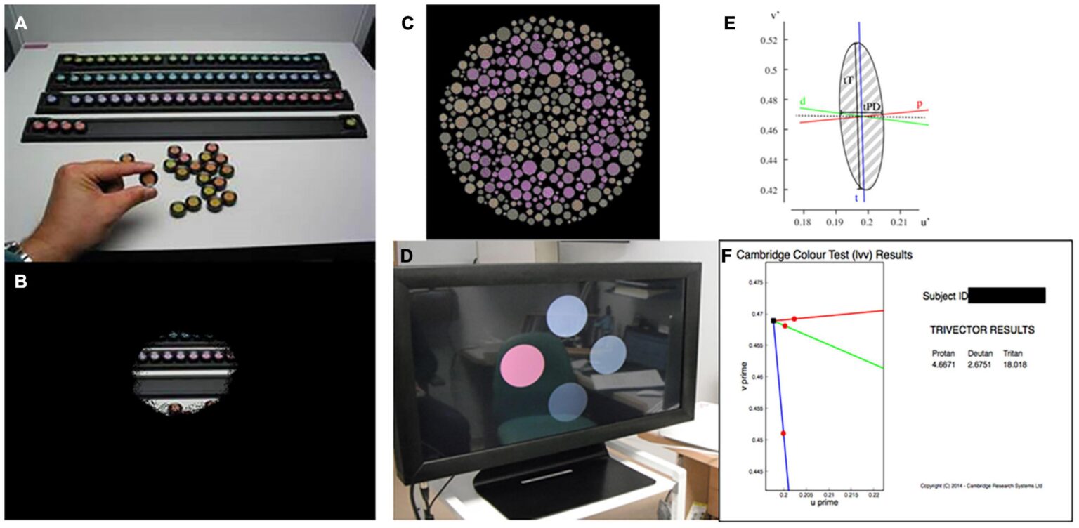 new color-Olo-color blindness-cone cell stimulation device-vision technology-color intensity-Berkeley research