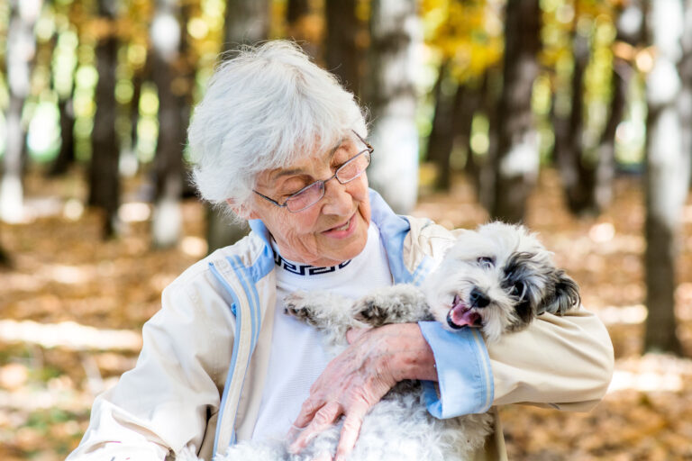 pet dogs-environmental impact-responsible ownership-wildlife-pet care