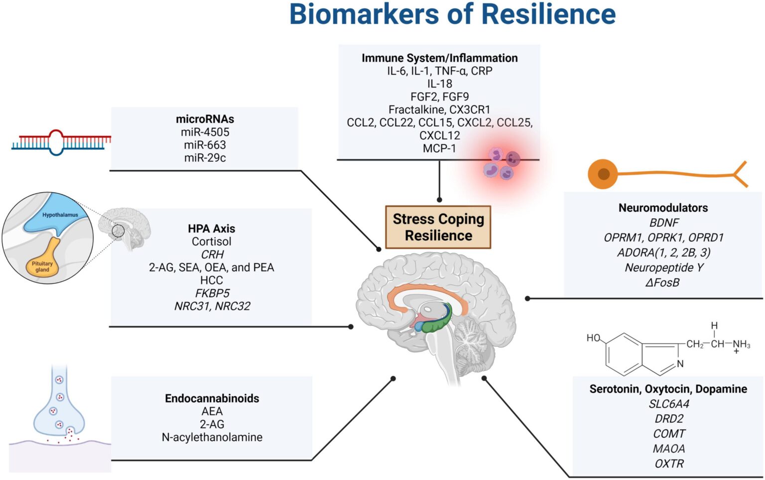 trauma-mental health-body systems-cortisol-cytokine-PTSD