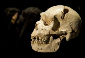Homo sapiens migration-Genetic evidence-Bering Land Bridge-Human evolution history-GenomeAsia100K project
