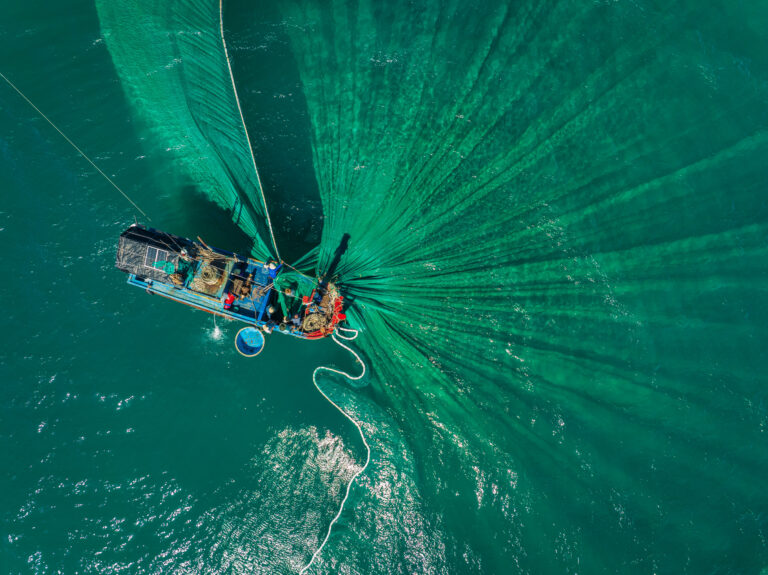 Trawling-Ocean-David Attenborough-Environment-Marine biodiversity-UN Ocean Conference