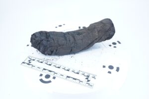 Vesuvius Scroll-Philodemus-Villa of the Papyri-Artificial Intelligence-Carbonization-Ancient Philosophy