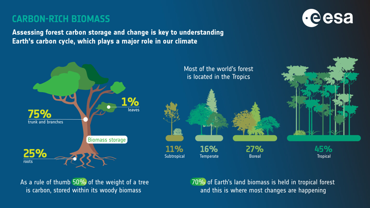 biomass satellite-climate change-European Space Agency-forests monitoring-carbon cycle