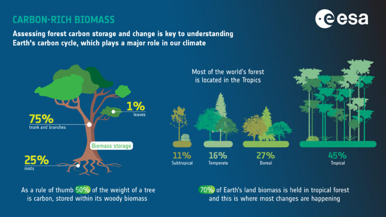 biomass satellite-climate change-European Space Agency-forests monitoring-carbon cycle