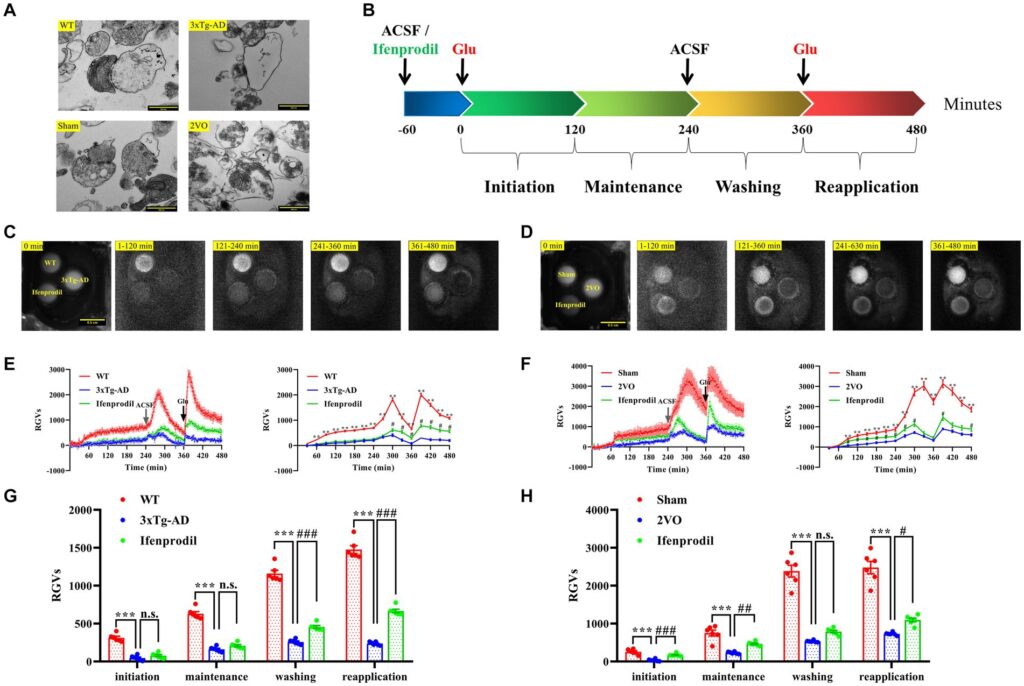 biophotons-visible light emission-cell health-Dr. Vahid Salari-University of Calgary-biological physics