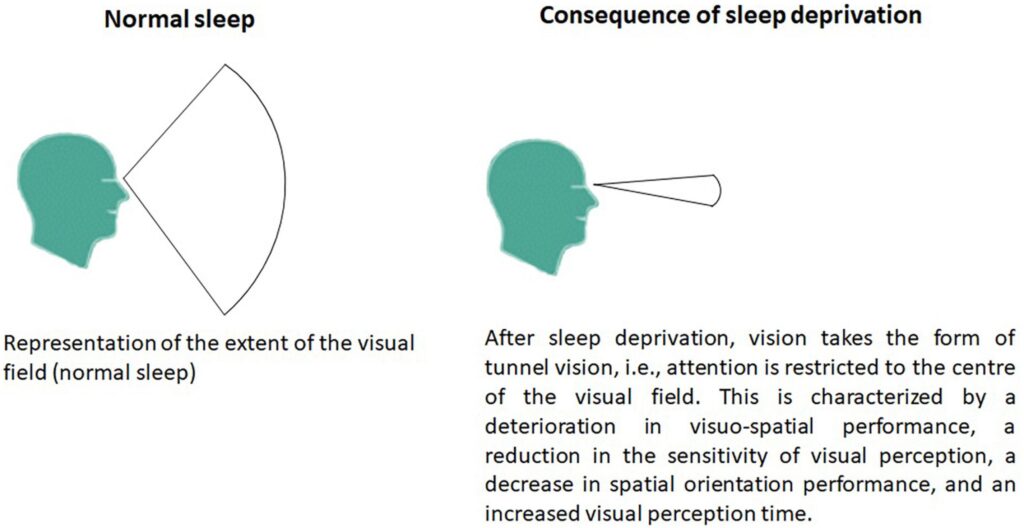 excess sleep-cognitive decline-brain health-depression-neurology research-sleep psychology