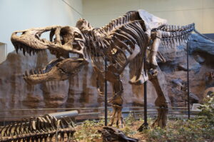 fossilization-preservation-ancient animals-earth history-paleontology