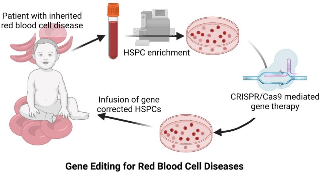 gene editing-CRISPR-personalized medicine-genetic diseases-medical technology