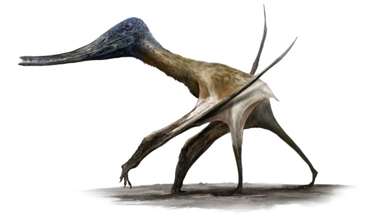 polar dinosaurs-antarctica forests-cretaceous period-plant extinction-flowering plants-climate change-paleontology