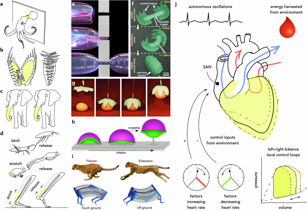 robot motion-energy-efficient robotics-bio-inspired robots-innovative robotics-air pressure robots