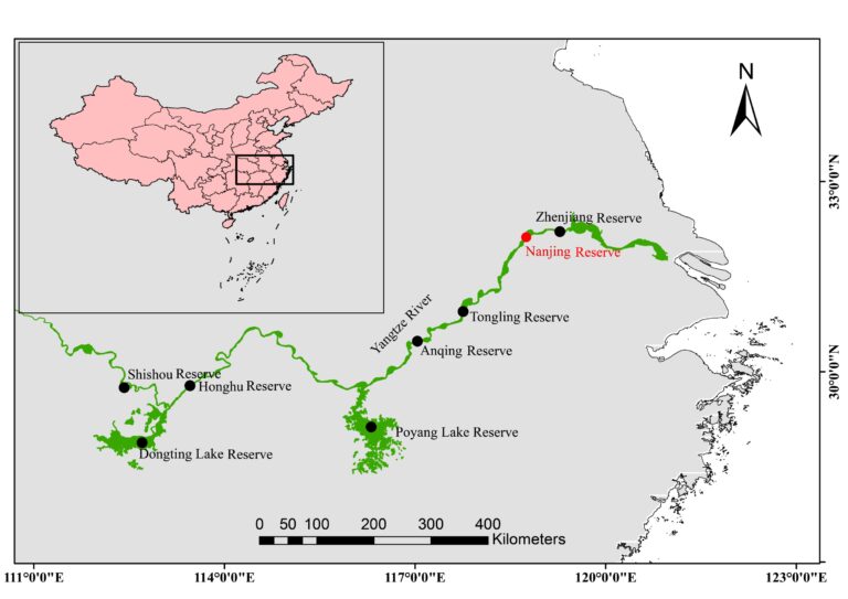 yangtze finless porpoise-ancient chinese poetry-biodiversity decline-chinese literature-rare species conservation-environmental research