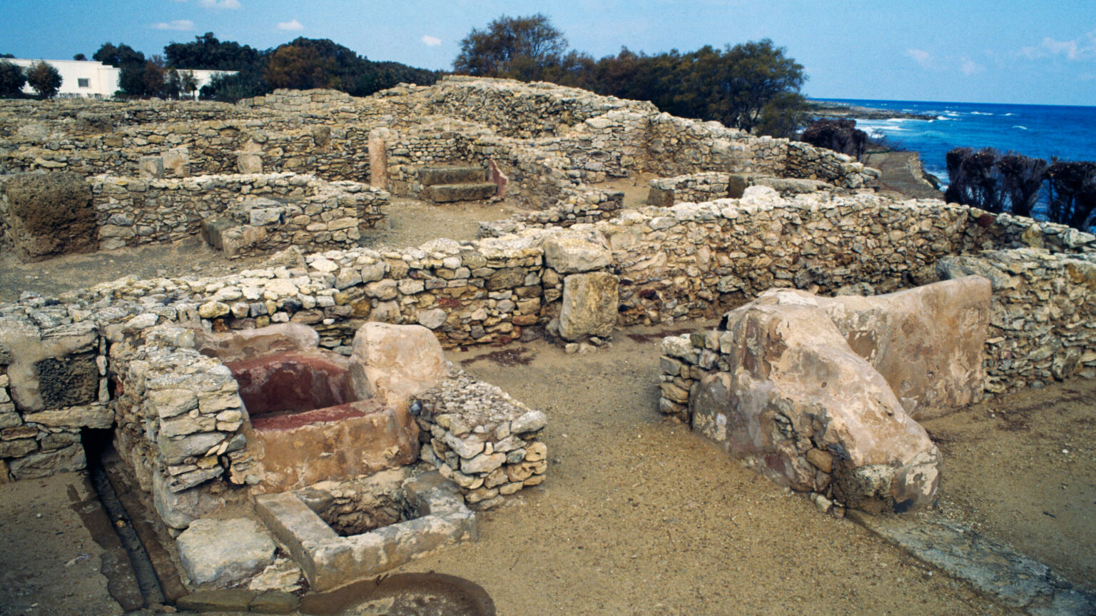 Carthage-Phoenicians-Mediterranean civilization-Ancient genetics-Ancient history