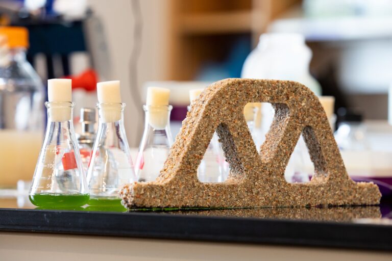 building materials-bio-materials-fungi-bacteria-mycelium-calcium carbonate-environment-sustainability-self-healing