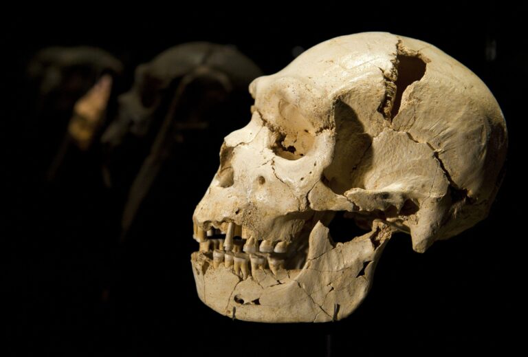 Homo sapiens migration-Genetic evidence-Bering Land Bridge-Human evolution history-GenomeAsia100K project