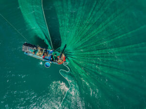 Trawling-Ocean-David Attenborough-Environment-Marine biodiversity-UN Ocean Conference