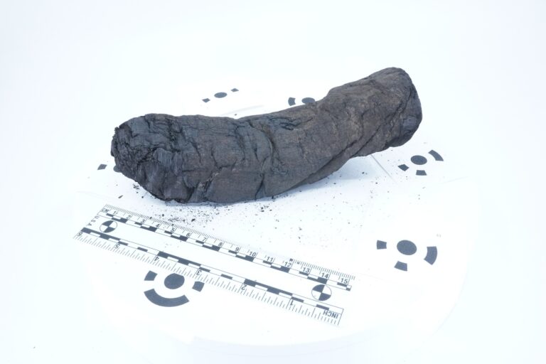 Vesuvius Scroll-Philodemus-Villa of the Papyri-Artificial Intelligence-Carbonization-Ancient Philosophy
