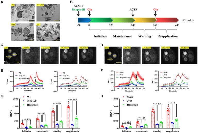 biophotons-visible light emission-cell health-Dr. Vahid Salari-University of Calgary-biological physics