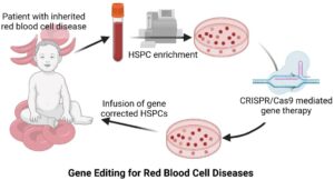 gene editing-CRISPR-personalized medicine-genetic diseases-medical technology